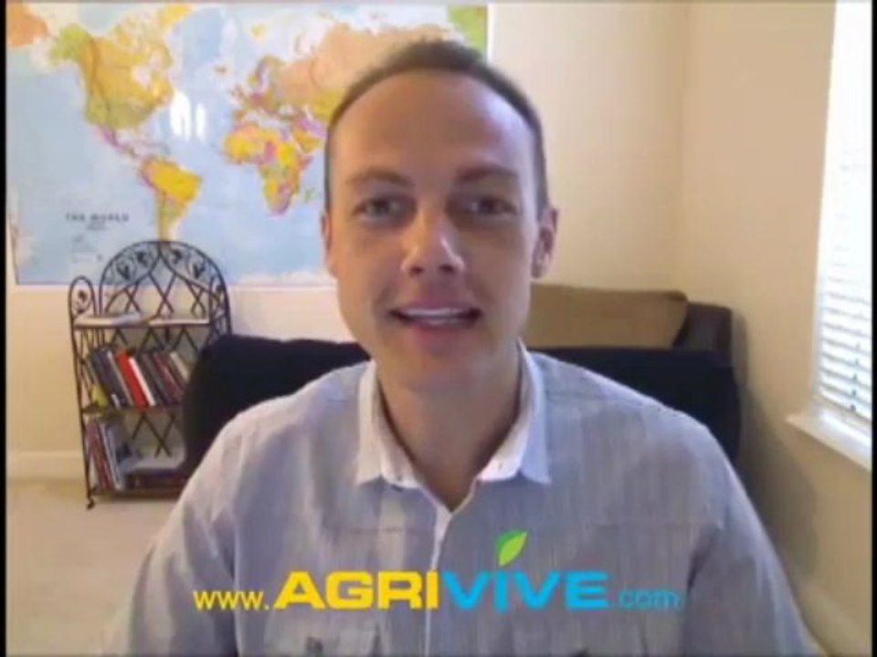 Shop For Bulk Wholesale Corn, Maize, Feeding Deer Corn, Corn Feed Prices, Corn Gluten Feed Prices