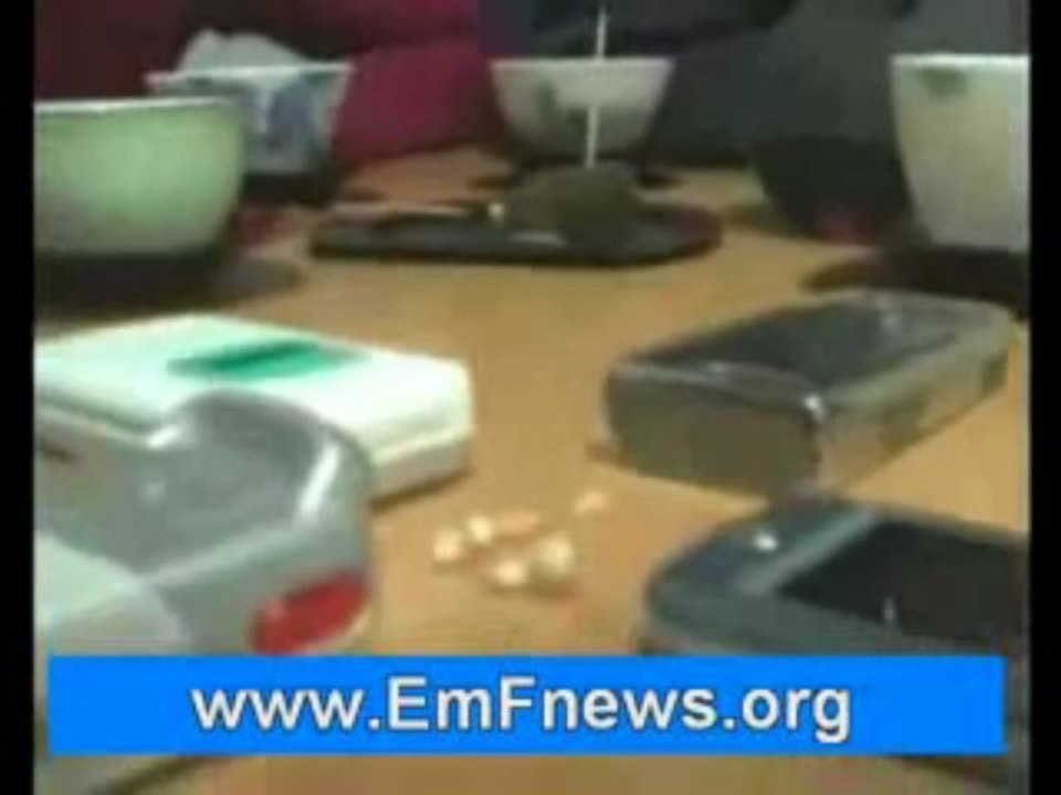 Highest Radiation Phones, Cellular Phone Radiation