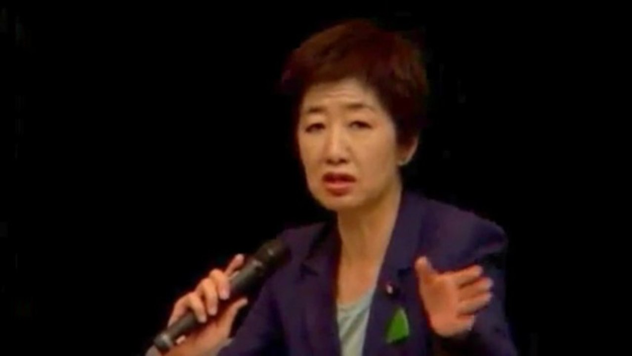 20130614 《索引付》1／2 水野靖久事件、議員連盟と復興庁の緊急会合～子ども・被災者支援法