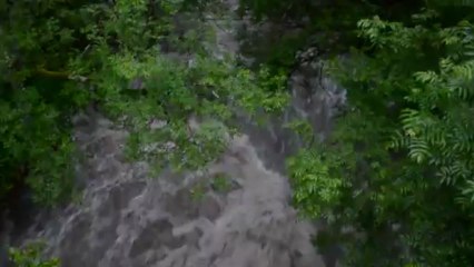 sous le petit pont à Bun