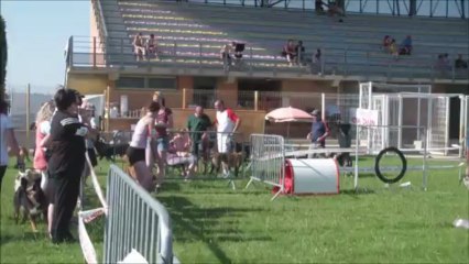 Bullit Concours CCP66 2013-06-16