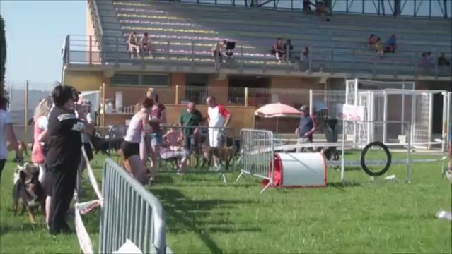 Bullit Concours CCP66 2013-06-16