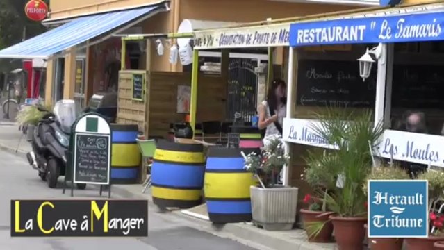 AGDE - 2013 - LA TAMARISSIERE - LA CAVE A MANGER : C'est si bon !