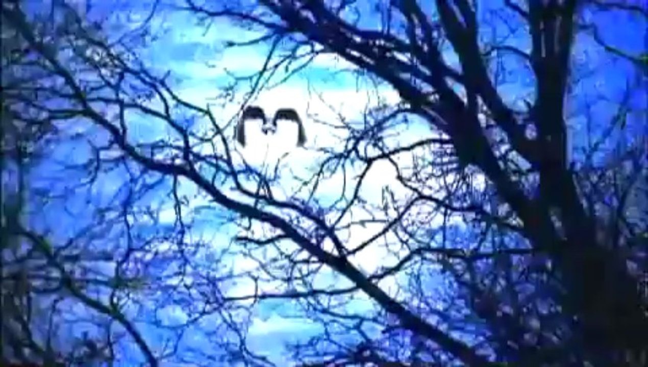 Kaw - Trailer (2007) Triler