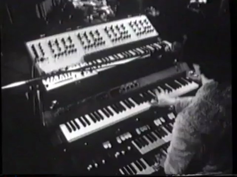 Hanging Around Rare Stranglers