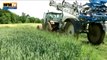Météo: les producteurs de blé inquiets pour leur récolte - 19/06