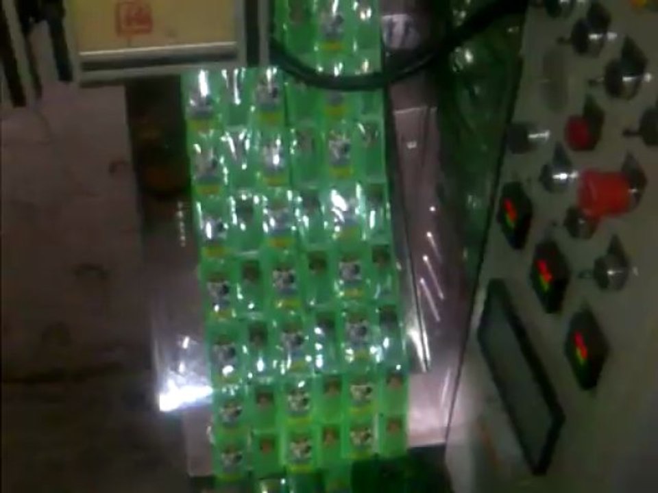 Multi Track Pouch Packaging Machine