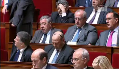 Question au gouvernement sur la situation des journalistes Didier François et Edouard Elias