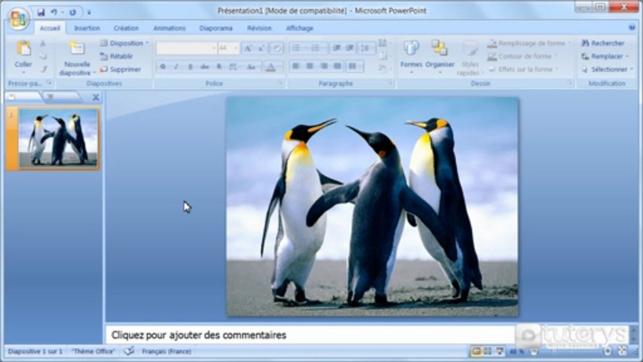 Comment transformer une image insérée avec PowerPoint 2007 ?