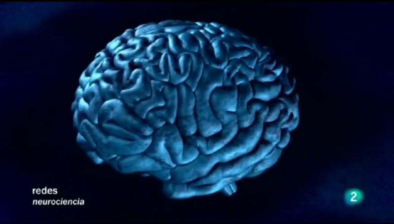 Cerebro: El conectoma humano