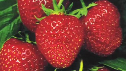 Dr Rodney Aziz - How to Get White Teeth Naturally