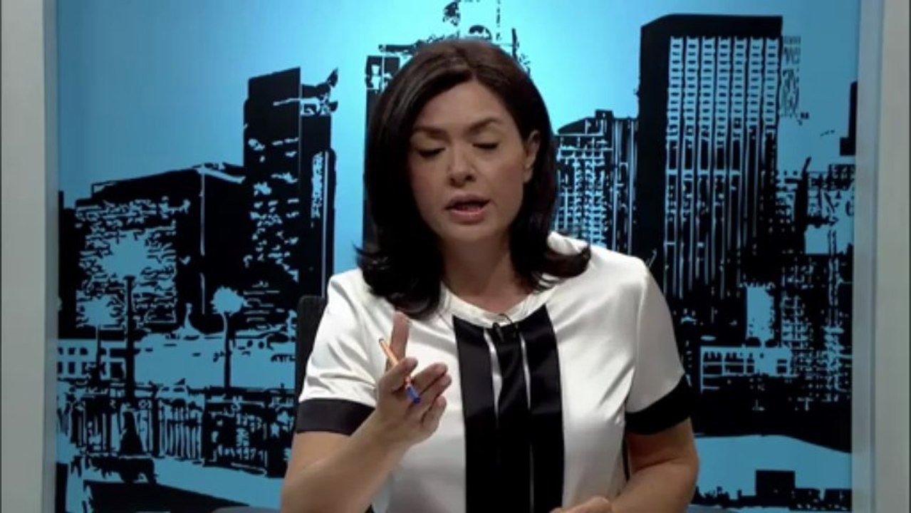 AP Sosyalist Grup Başkanı Hannes Swoboda artı bir Ana Haber'e konuştu