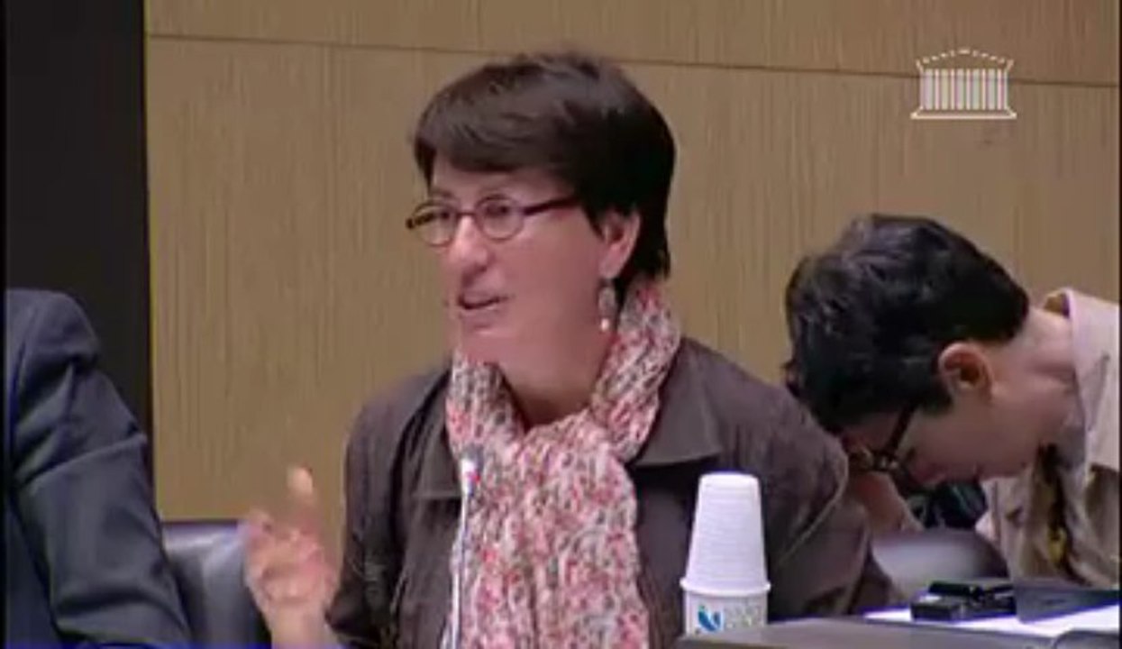 Table Ronde Cinéma Européen 19 juin 2013