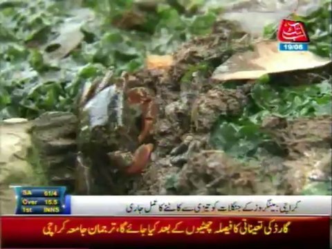 Package: Temir's forests - 12:00 PM 19 June 2013