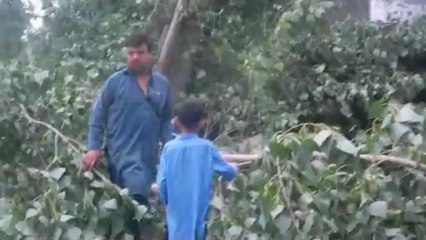 TUFAN IN  TARKHA ALI SHAH PK-12 NA -5 عوامی امن ٹی وی awami aman tv