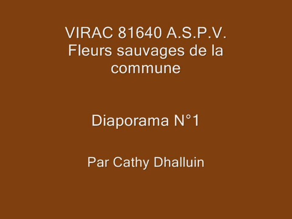 Virac 81640 A.S.P.V. fleurs sauvages diaporama N° 1 2013