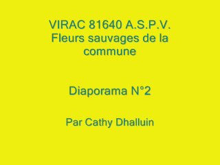 Virac 81640 A.S.P.V. fleurs sauvages diaporama N° 2/2013