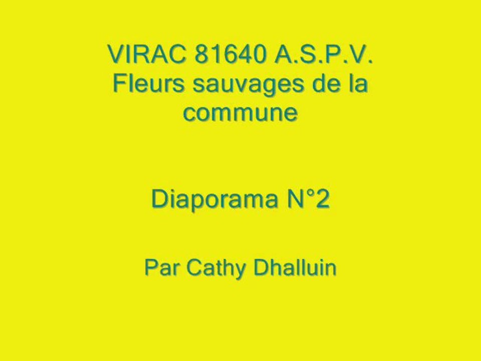 Virac 81640 A.S.P.V. fleurs sauvages diaporama N° 2/2013