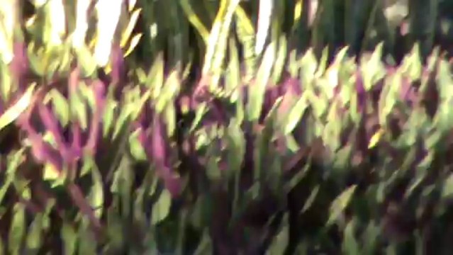 Mauritius Hotel La Pirogue Flic En Flac R.Noire Westen Mauritius TUI Holly 2013 Onlinebuchung @ VIP-Reisen.de im Reisebüro Fella Hammelburg Tel. 09732-2600 Email info@fella.de Bilder von DIE Fellas unter DieFellas.de Hotelinformatio