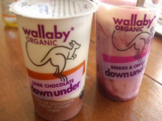 The effect of probiotics on human body - Phillip Riback