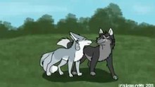The Love Chase