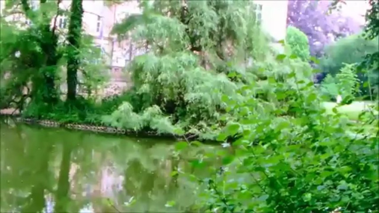 L'été à Erftstadt