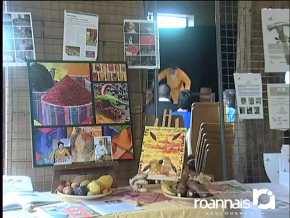 Agir en Roannais Pour l'Emploi - rencontres professionnelles 2013