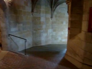 Château d'Amboise 128