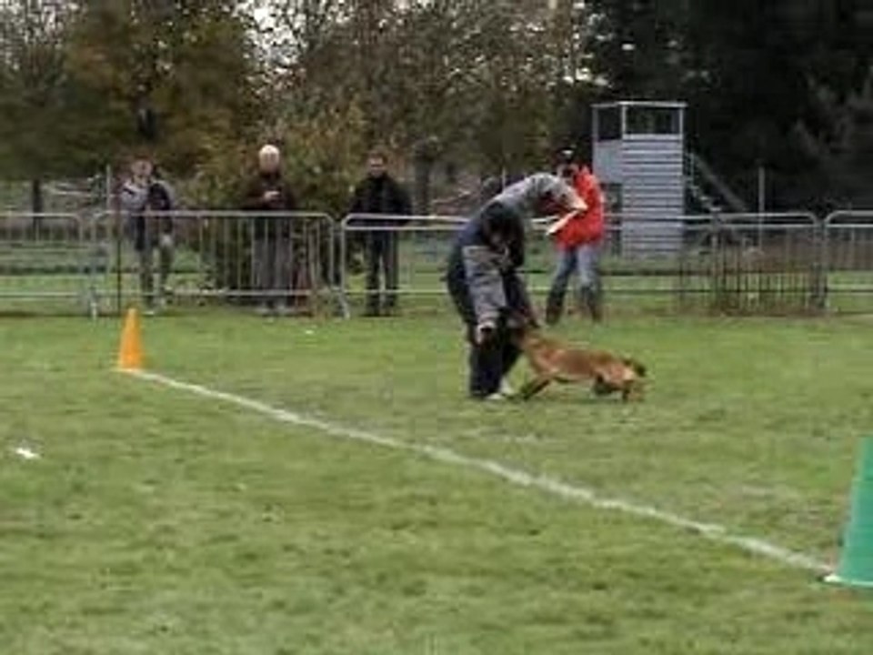 face de Rakie sur Mr Jacopit