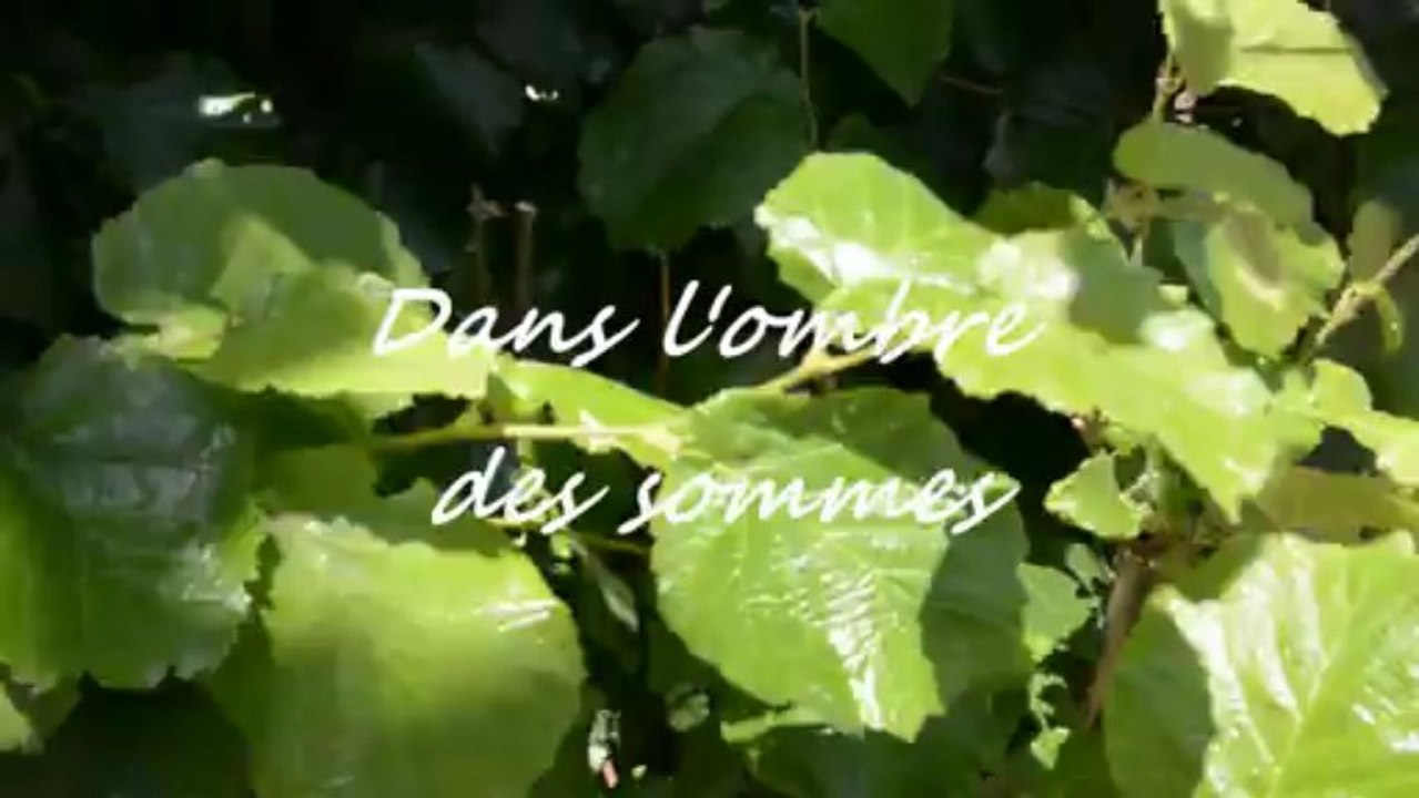 La source
