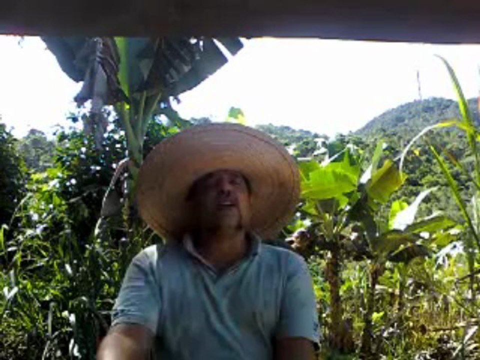 MOVIMENTO PASSE LIVRE - VALDEMIR MOTA DE MENEZES