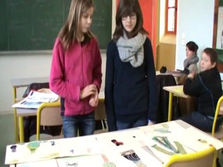 Présentation de la création du site par les élèves de cinquième