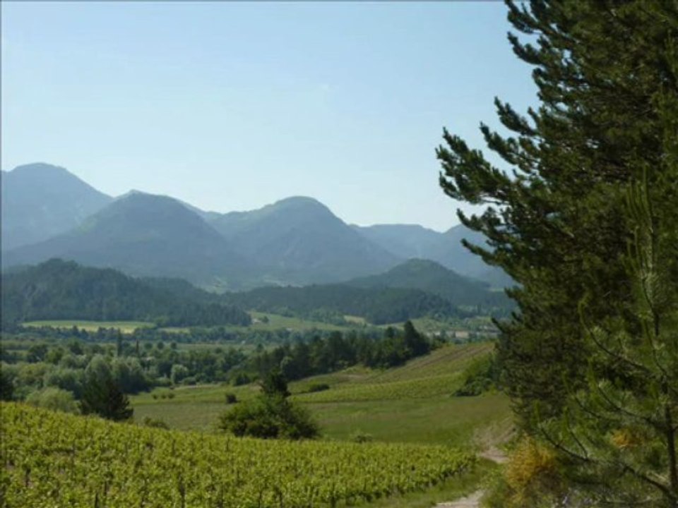 "Le Chemin des vignes" de la montagne de Label (26 Drôme)