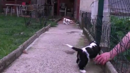 vive le jardin........1