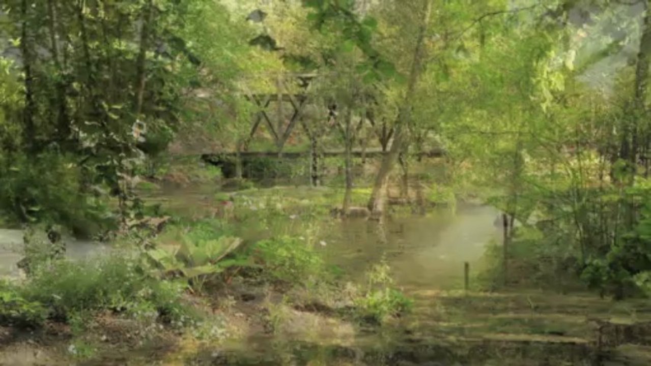 Amboise: Sur les pas de Leonard - Musiques aux Jardins-2013