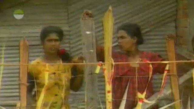 International Terrorism Since 1945 : The Tamil Tigers