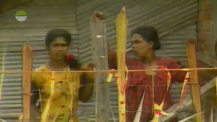 International Terrorism Since 1945 : The Tamil Tigers