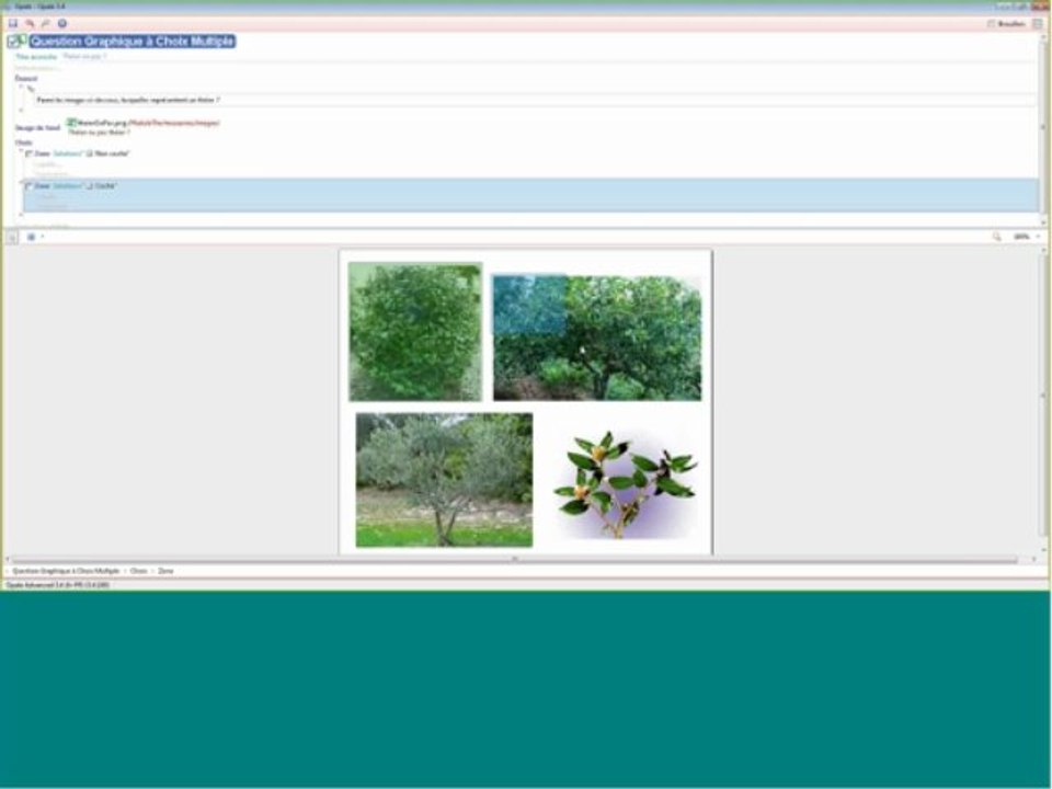 Webinar Opale