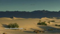 Stock Video - Stock Footage - Video Backgrounds - Dunes 05