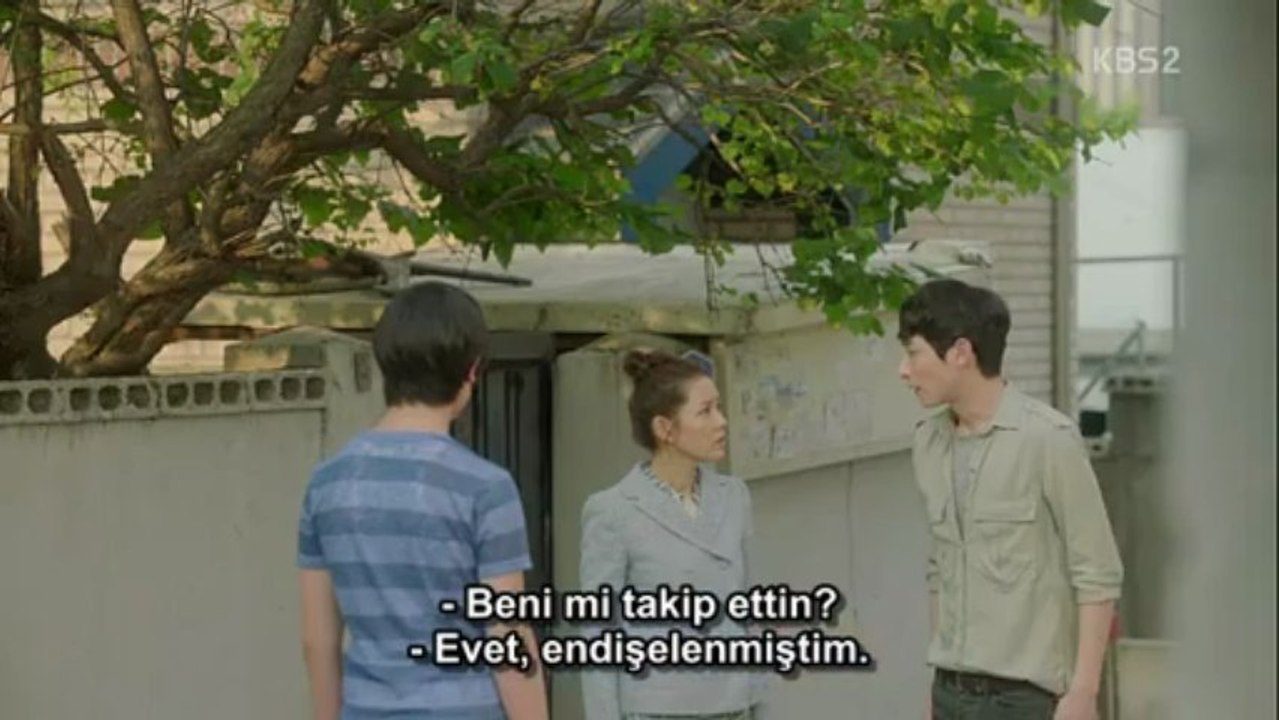 SHRK.E06.AF_2