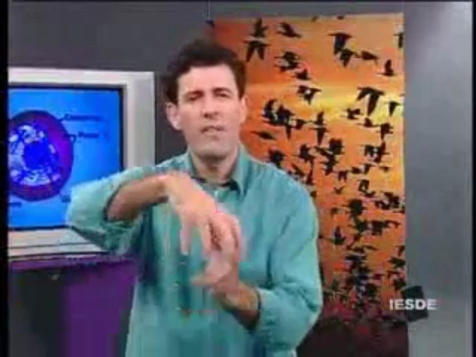 BIOLOGIA - AULA 9 -- NÚCLEOS PROCARIONTE E EUCARIONTE Parte 1  - YouTube