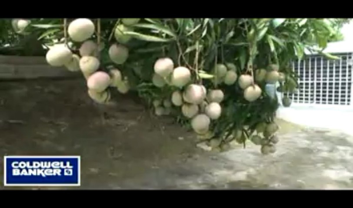 Homes Sale Rio Grande Puerto Rico Casas Venta