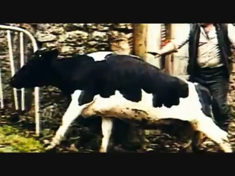 Damien Saez J'accuse