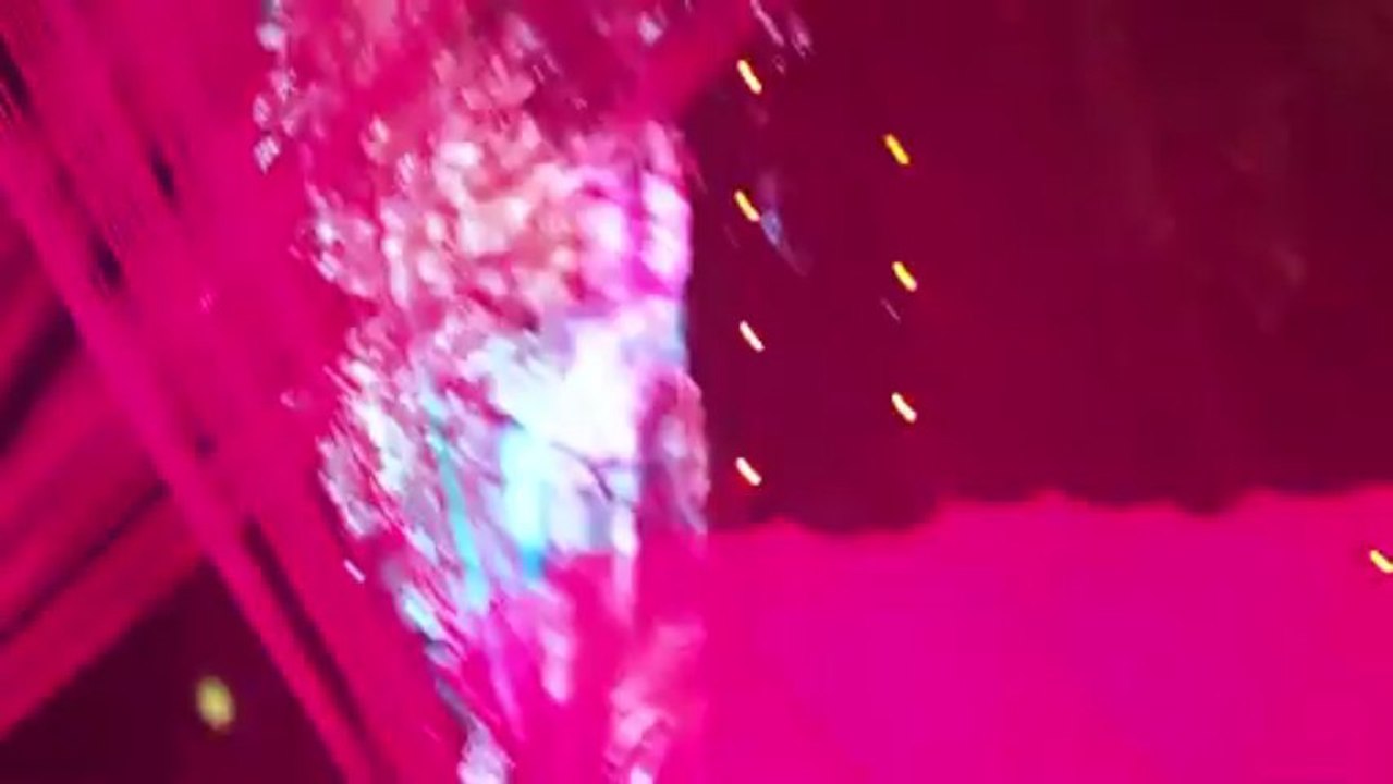 Guanghzou Circus - Les chevaux