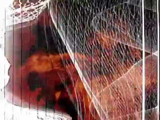 Thorns - "Vortex" (2001)