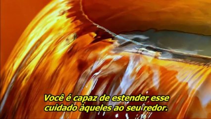 TÓQUES do CRIADOR Em 19 de Junho de 2013