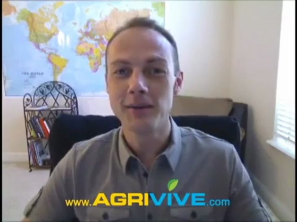 Buy Bulk Corn, Maize, Corn for Ethanol, Corn and Ethanol, Corn based Ethanol, Corn to Ethanol