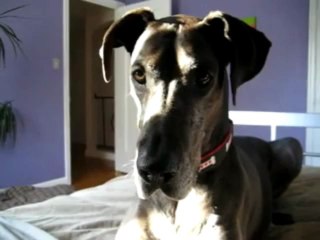 하나카지노 〓〓▥◈▶ BET78．ＲＯ．ＴＯ◀◈▥〓〓 페가수스카지노