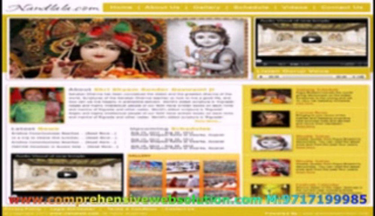 Professional Web Designing Services Delhi | Best India Company Design Website |