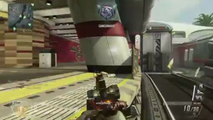 SCAR-H Dorada!! - Black Ops 2